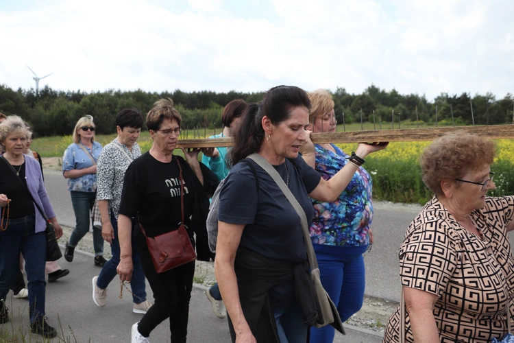 XII Diecezjalna Pielgrzymka Kobiet - wędrówka