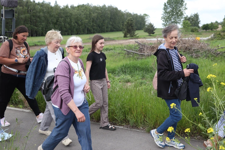 XII Diecezjalna Pielgrzymka Kobiet - wędrówka