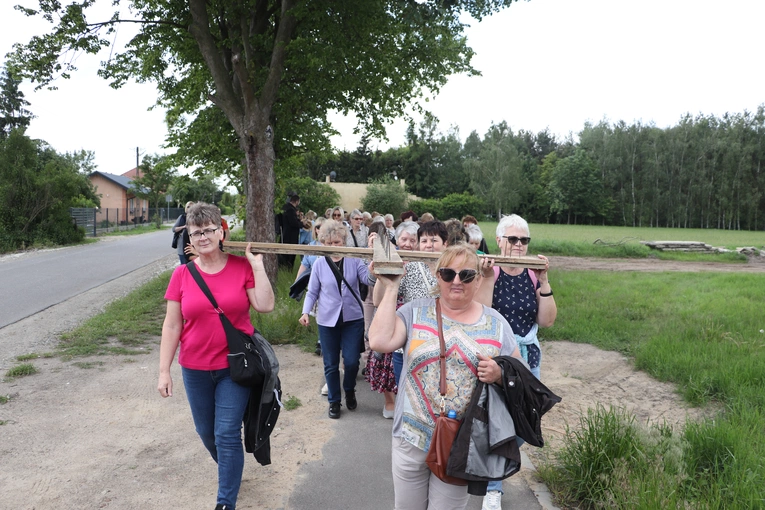XII Diecezjalna Pielgrzymka Kobiet - wędrówka