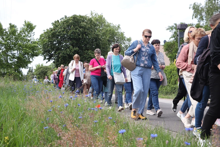 XII Diecezjalna Pielgrzymka Kobiet - wędrówka