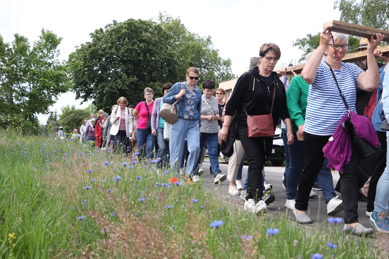 XII Diecezjalna Pielgrzymka Kobiet - wędrówka