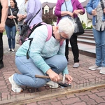 XII Diecezjalna Pielgrzymka Kobiet - wędrówka