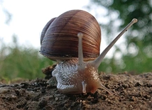 Więcej szczęścia
