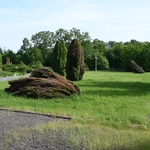 Pomnik Martyrologii Jeńców Wojennych