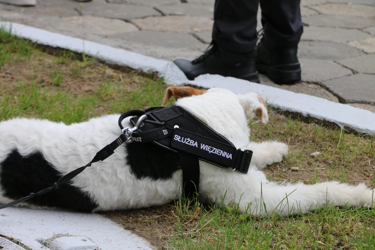 Płock. Msza św. w Zakładzie Karnym