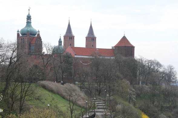 Wzgórze Tumskie w Płocku