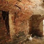 Z templariuszami i joannitami w Oleśnicy Małej