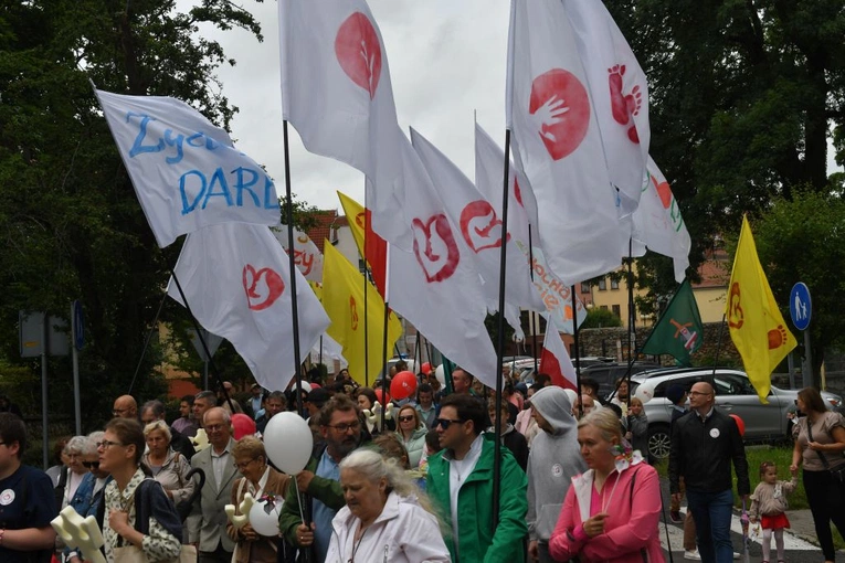Marsz dla Życia i Rodziny w Żarach