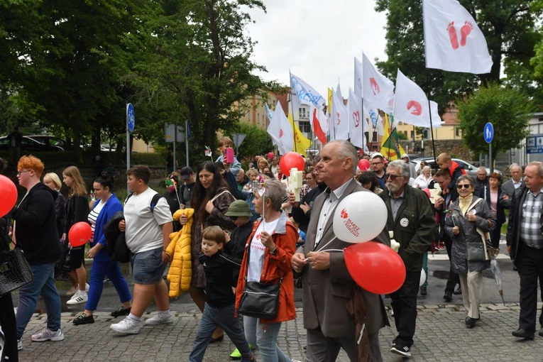 Marsz dla Życia i Rodziny w Żarach