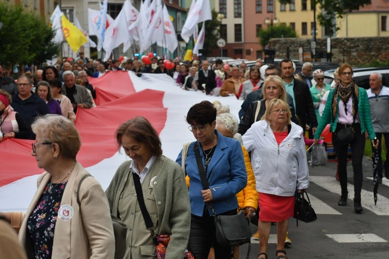 Marsz dla Życia i Rodziny w Żarach