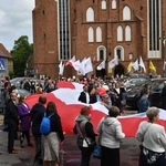 Marsz dla Życia i Rodziny w Żarach