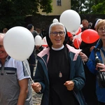 Marsz dla Życia i Rodziny w Żarach