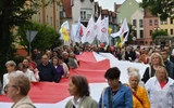 Marsz dla Życia i Rodziny w Żarach