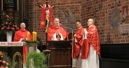 Radomski Marsz dla Życia i Rodziny