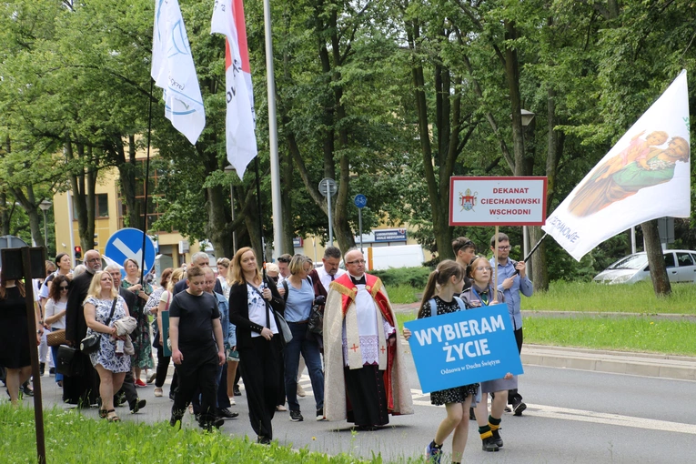 950 lat diecezji. Marsz wdzięczności