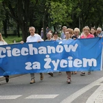 950 lat diecezji. Marsz wdzięczności