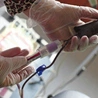 Krew może oddać osoba pomiędzy 18. a 65. rokiem życia, która jest zdrowa i nie przyjmuje leków.