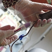 Krew może oddać osoba pomiędzy 18. a 65. rokiem życia, która jest zdrowa i nie przyjmuje leków.