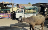 Pakistan