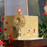Płock. XII Ogólnopolska Pielgrzymka Nadzwyczajnych Szafarzy Komunii Świętej - cz. III