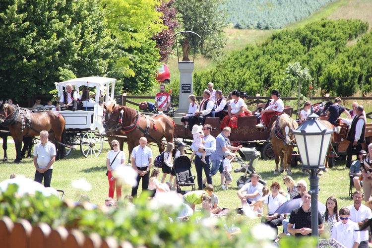 Stary Sącz. Diecezjalne Święto Rodziny 2025