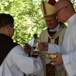 Msza św. odpustowa na Kalwarii Wejherowskiej
