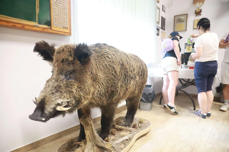 Dzień Rodziny w PZŁ w Sieradzy