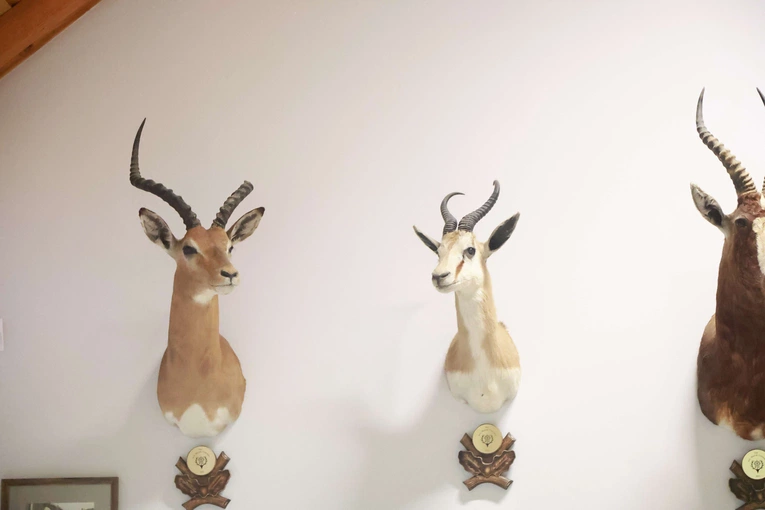 Dzień Rodziny w PZŁ w Sieradzy