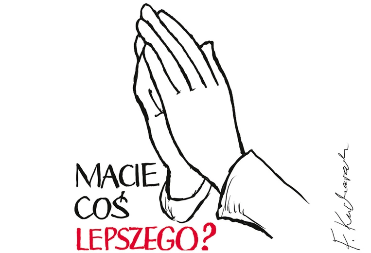 Kołtun z wyboru