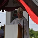 Pielgrzymka osób chorych i z niepełnosprawnością do Rokitna