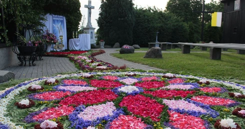 Ołtarze i kwietny dywan  na procesję Bożego Ciała w Zimnej Wódce