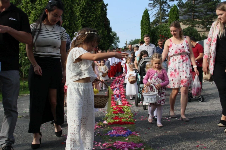 Procesja Bożego Ciała po kwietnym dywanie w Zimnej Wódce