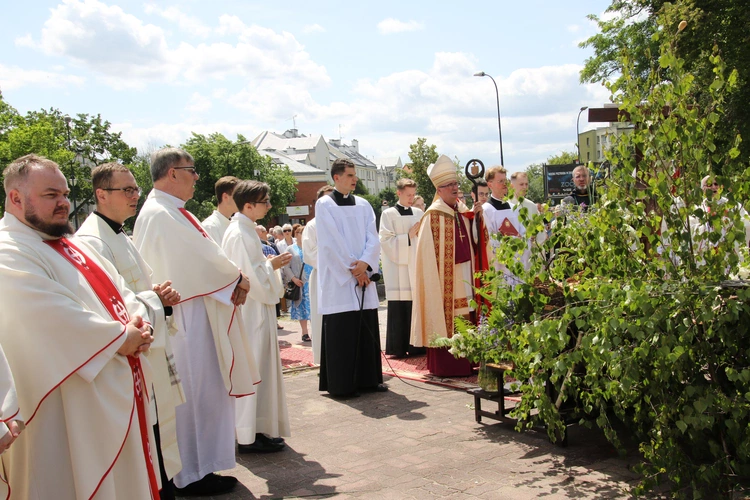 Płock. Boże Ciało