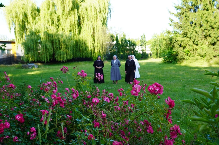 Czerwcowe spotkanie zespołu synodalnego osób konsekrowanych