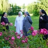 Czerwcowe spotkanie zespołu synodalnego osób konsekrowanych