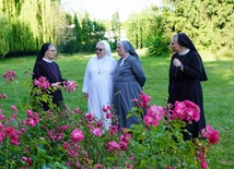Czerwcowe spotkanie zespołu synodalnego osób konsekrowanych
