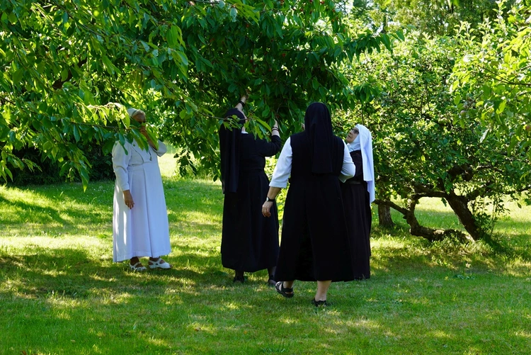 Czerwcowe spotkanie zespołu synodalnego osób konsekrowanych