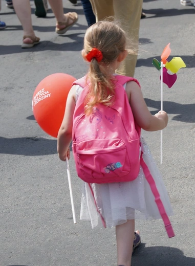 Dolnośląski Marsz dla Życia i Rodziny