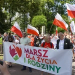 Dolnośląski Marsz dla Życia i Rodziny
