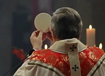 Św. Jan Chrzciciel wskazuje na misję, służbę i pokorę