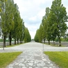 Na terenie KL Dachau mieściły się 34 baraki – mieszkalne i funkcyjne. 