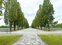 Na terenie KL Dachau mieściły się 34 baraki – mieszkalne i funkcyjne. 