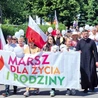 Marsz zakończył się odczytaniem  aktu zawierzenia Bogu życia i rodzin przez serce Maryi.  
