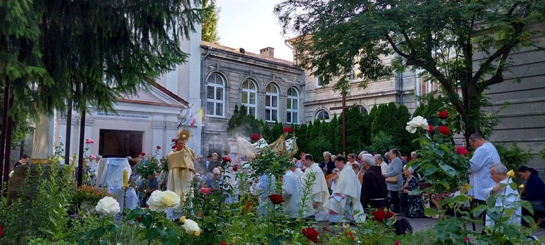 Wianuszki u reformatów w Chełmie