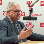 Szef śląskiego Sanepidu: Są takie punkty gastronomiczne, gdzie nie kupiłbym lodów