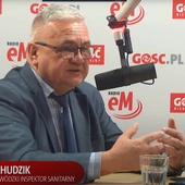 Szef śląskiego Sanepidu: Są takie punkty gastronomiczne, gdzie nie kupiłbym lodów