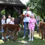 50 lat parafii św. Michała Archanioła na Grodzisku