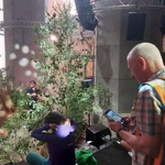 W kościele św. Jana w Gdańsku "wyrósł" las