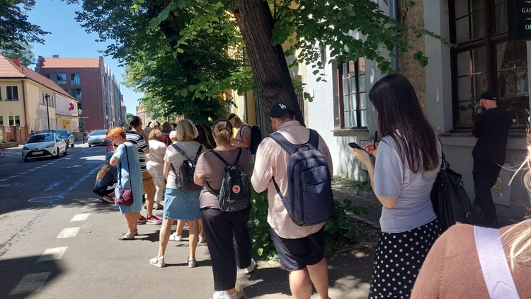 W kościele św. Jana w Gdańsku "wyrósł" las