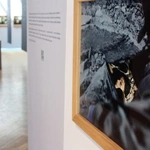 15. Opolski Festiwal Fotografii